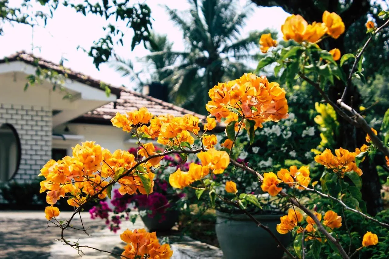 Benjohostel Katunayake