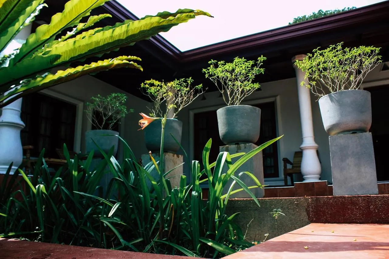 ** Hotel Benjohostel Katunayake Sri Lanka